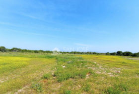 Elx 15000&nbsp;m² 