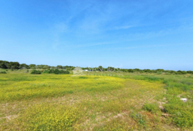 Elx 15000&nbsp;m² 