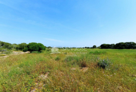 Elx 15000&nbsp;m² 
