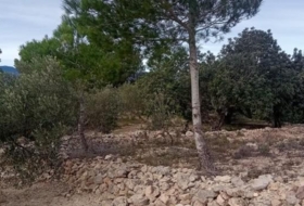 Tortosa 34888&nbsp;м²