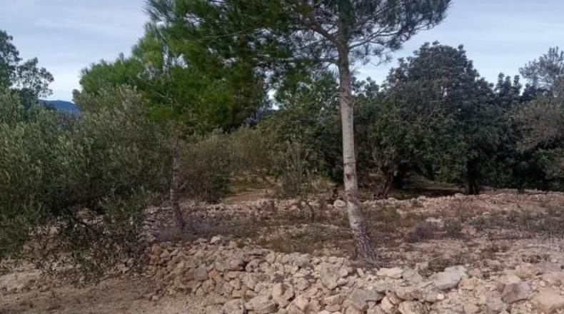 Tarragona - Tortosa - 34888m2
