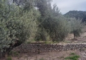 Отдельно стоящий дом с участком на продажу в городе Tortosa Фото