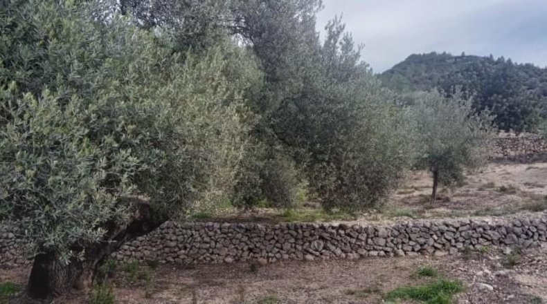 Tarragona - Tortosa - 34888m2