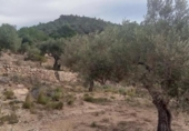 Отдельно стоящий дом с участком на продажу в городе Tortosa Фото