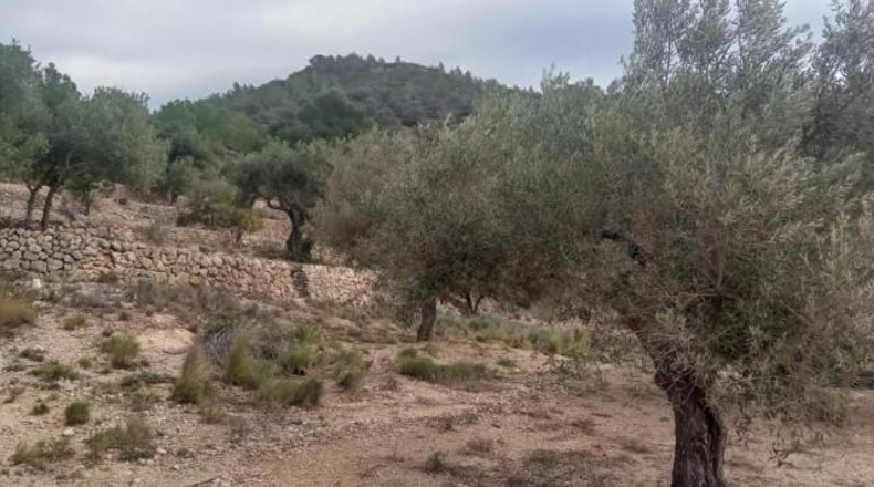 Tarragona - Tortosa - 34888m2