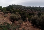 Отдельно стоящий дом с участком на продажу в городе Tortosa Фото