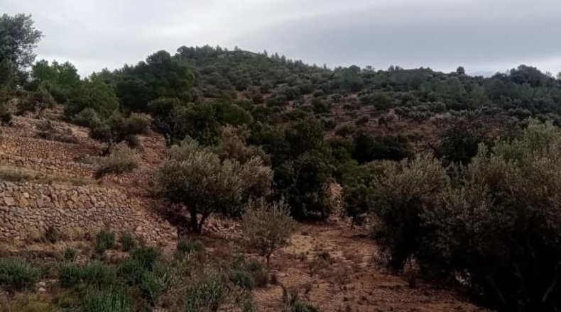 Tarragona - Tortosa - 34888m2