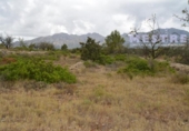 Non-developable land for sale on España, Llíber, ref: TR397819 photo