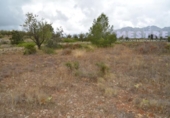 Non-developable land for sale on España, Llíber, ref: TR397819 photo