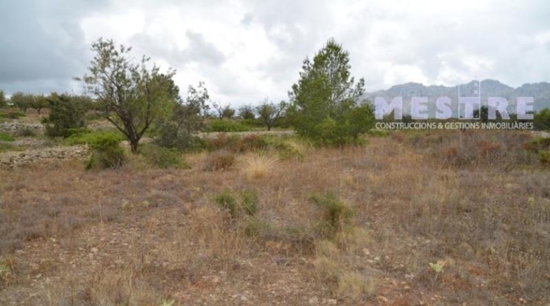 Lugo - Becerreá - 10360m2