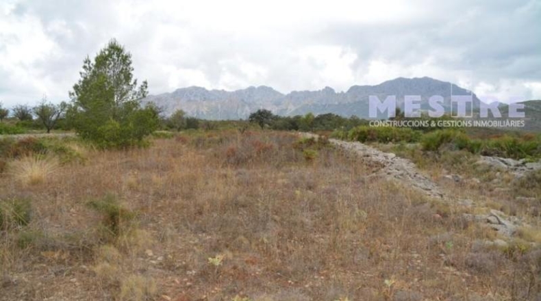 Lugo - Becerreá - 10360m2