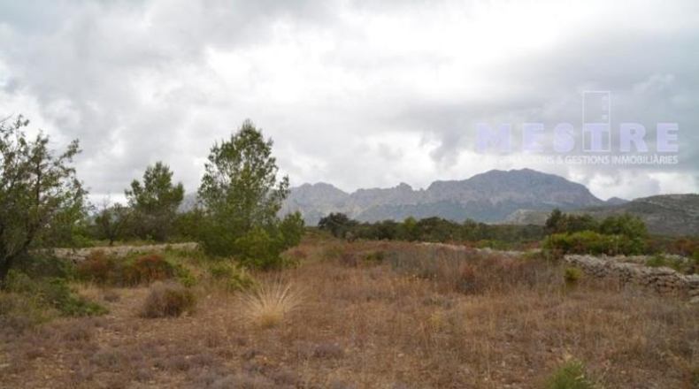 Lugo - Becerreá - 10360m2