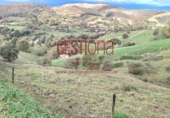 Finca rústica en venda a la España, Villafufre, ref.: TR398628 foto