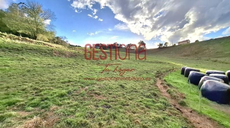 Cantàbria - Villafufre - 22000m2