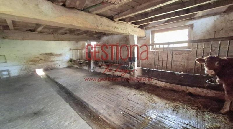 Cantàbria - Villafufre - 22000m2