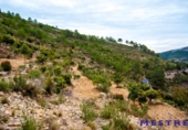 Non-developable land for sale on España, Llíber, ref: TR397818 photo
