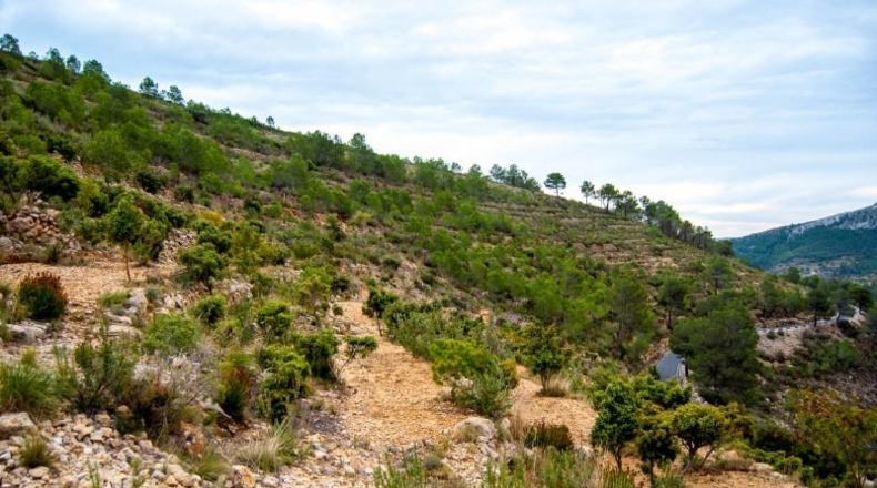 Lugo - Becerreá - 12364m2