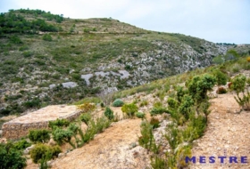 Llíber 12364&nbsp;m² 