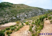 Non-developable land for sale on España, Llíber, ref: TR397818 photo