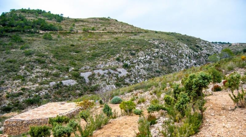 Lugo - Becerreá - 12364m2