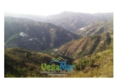 Non-developable land for sale on España, Jete, ref: TR397833 photo