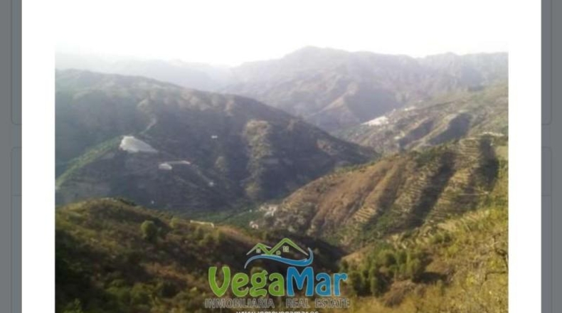 Caceres - Jerte - 20000m2
