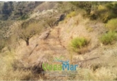 Non-developable land for sale on España, Jete, ref: TR397833 photo