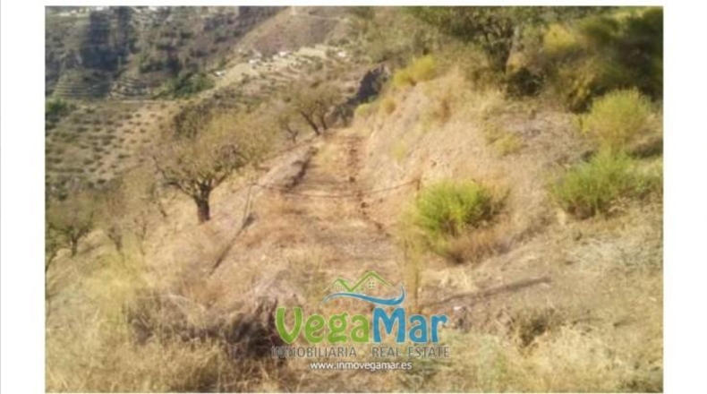 Caceres - Jerte - 20000m2