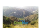 Non-developable land for sale on España, Jete, ref: TR397833 photo
