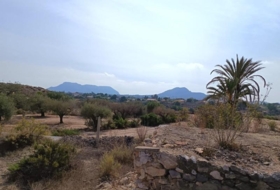Sant Vicent del Raspeig 13300&nbsp;m² 