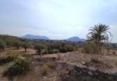 Terreny no urbanitzable en venda a la España, Sant Vicent del Raspeig, ref.: TR394787 foto