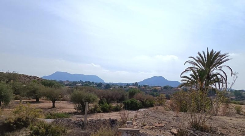 Alicante - San Vicente del Raspeig - 12081m2