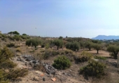 Terreny no urbanitzable en venda a la España, Sant Vicent del Raspeig, ref.: TR394787 foto