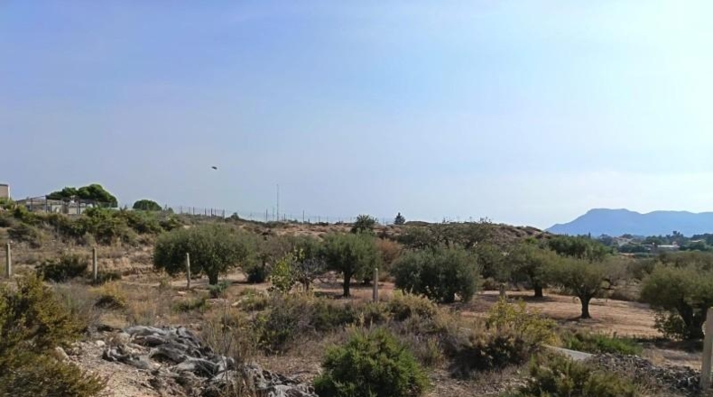 Alicante - San Vicente del Raspeig - 12081m2