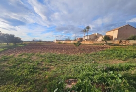 Fuente Álamo 5400&nbsp;m²
