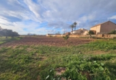 Casa de campo con terreno en venta en la España, Fuente Álamo, ref: TR399230 foto