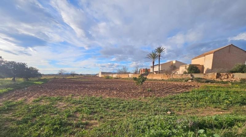 Murcia - Fuente Álamo de Murcia - 5400m2
