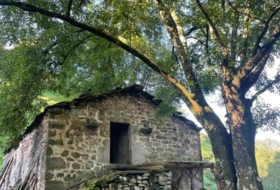Selaya 3327&nbsp;m²