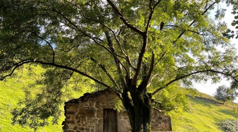 Cantàbria - Selaya - 3327m2