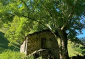 Finca rústica en venta en la España, Selaya, ref: TR399783 foto