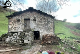 Selaya 3327&nbsp;m²