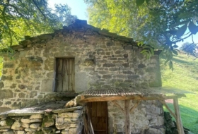 Selaya 3327&nbsp;m²