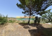 Chalet independiente con terreno en venta en la España, Vélez-Rubio, ref: TR399727 foto