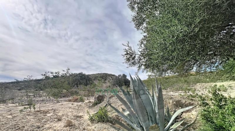 Almeria - Cuevas del Almanzora - 7000m2