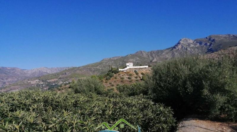 Caceres - Jerte - 5000m2