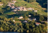 Casa de camp amb terreny en venda a la España, Ribadavia, ref.: TR388491 foto