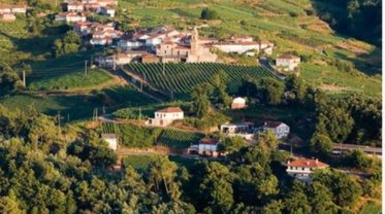 Orense - Ribadavia - 800m2