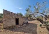 Detached villa with land for sale on España, l'Ametlla de Mar, ref: TR398793 photo