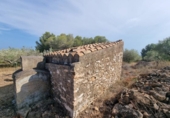 Detached villa with land for sale on España, l'Ametlla de Mar, ref: TR398793 photo