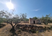 Detached villa with land for sale on España, l'Ametlla de Mar, ref: TR398793 photo